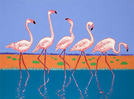 Flamingos