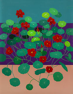 Red Nasturtiums